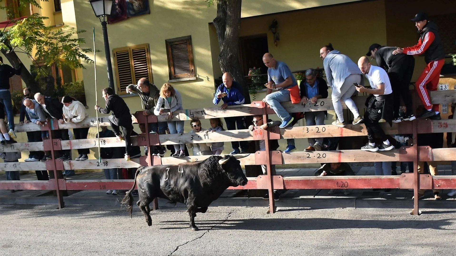 Muere un hombre de 63 años en Guadalix de la Sierra tras posible cornada de una vaca